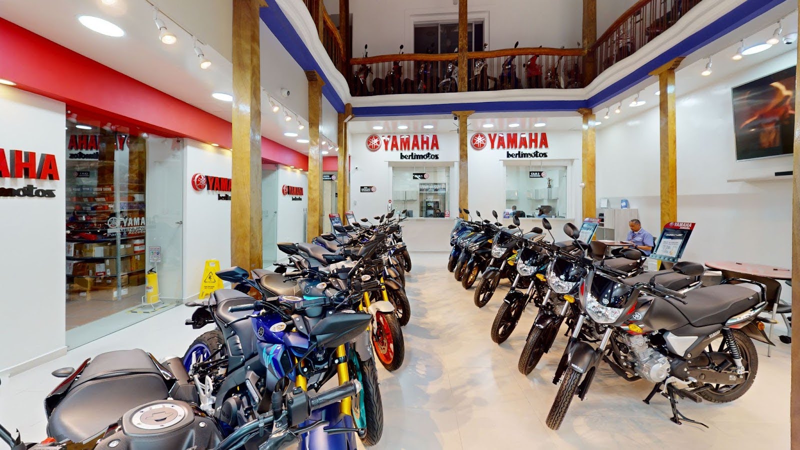 Berlimotos