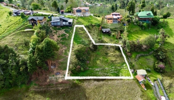 lote2.jpg